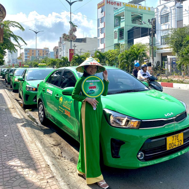 taxi mai linh binh dinh