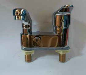 Sen tắm liền voi