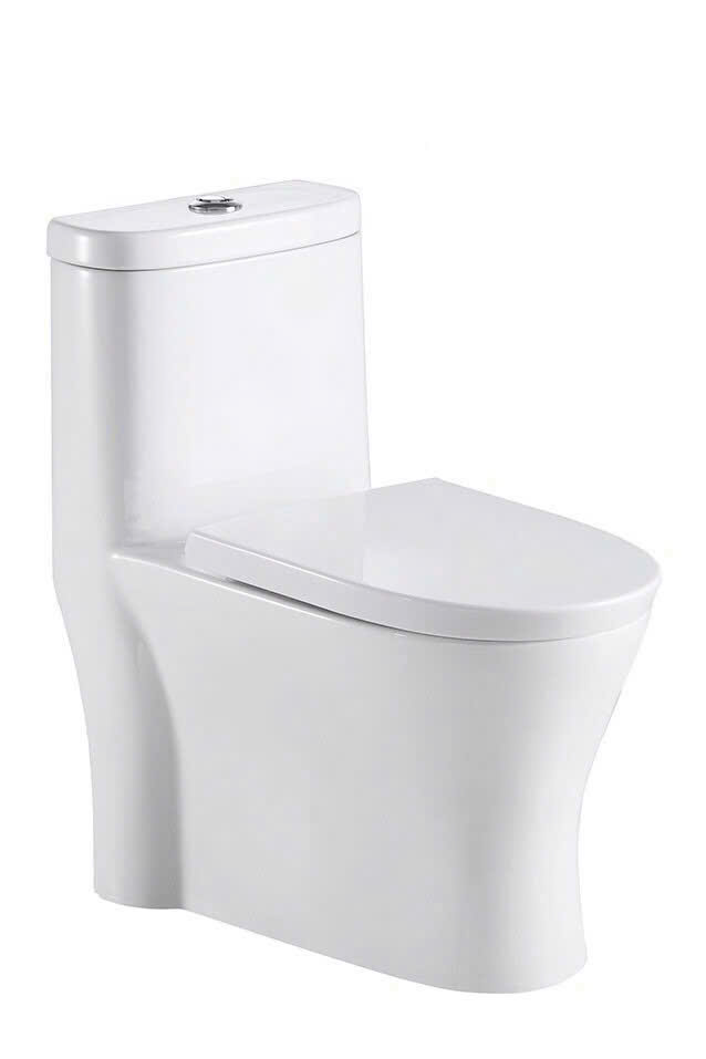 Bồn cầu liền khối Sunnest MS 209