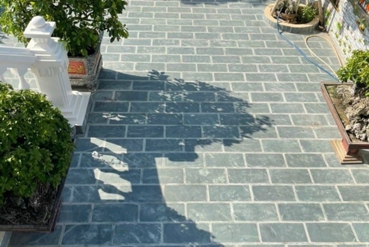 gachlat1 15050241